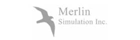 merlin simulation