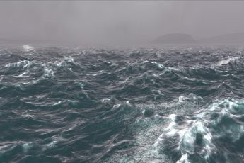 Resized Image