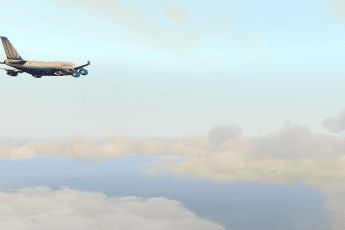 Resized Image
