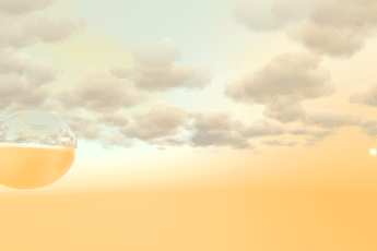 Resized Image