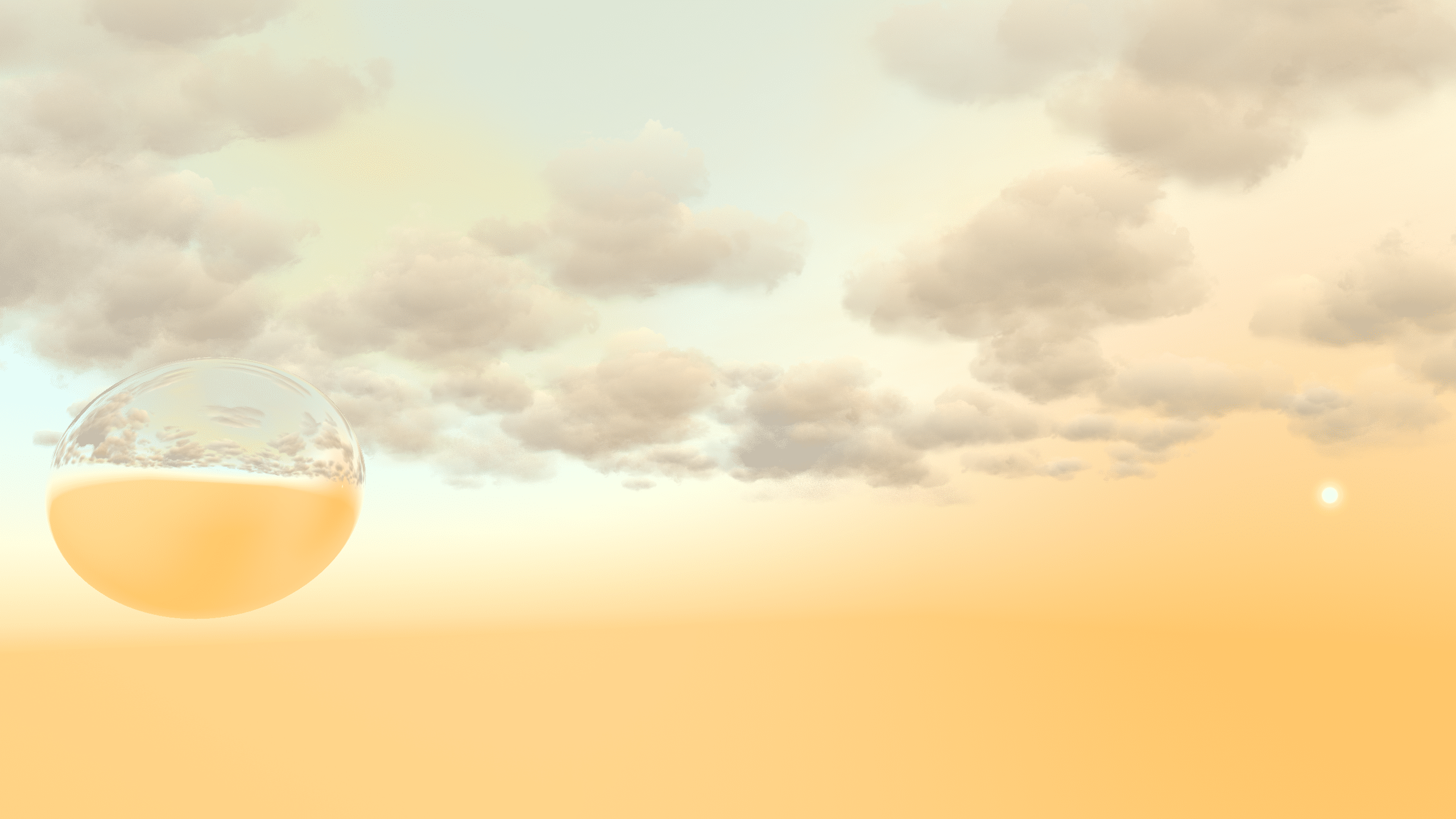 Resized Image