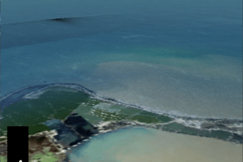 Resized Image